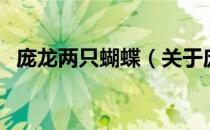庞龙两只蝴蝶（关于庞龙两只蝴蝶的介绍）