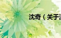 沈奇（关于沈奇的介绍）