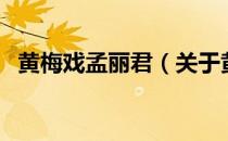 黄梅戏孟丽君（关于黄梅戏孟丽君的介绍）