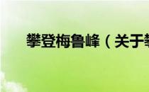 攀登梅鲁峰（关于攀登梅鲁峰的介绍）
