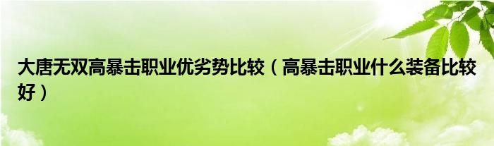 大唐无双高暴击职业优劣势比较（高暴击职业什么装备比较好）