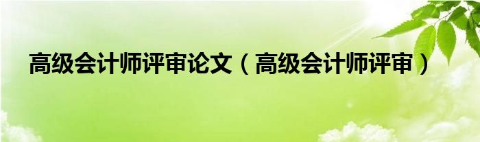 高级会计师评审论文（高级会计师评审）