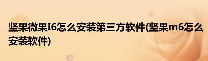 坚果微果I6怎么安装第三方软件(坚果m6怎么安装软件)