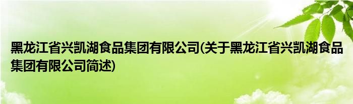 黑龙江省兴凯湖食品集团有限公司(关于黑龙江省兴凯湖食品集团有限公司简述)