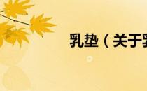 乳垫（关于乳垫的介绍）