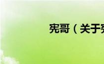 宪哥（关于宪哥的介绍）