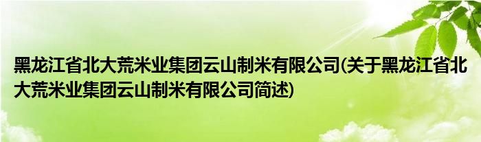 黑龙江省北大荒米业集团云山制米有限公司(关于黑龙江省北大荒米业集团云山制米有限公司简述)