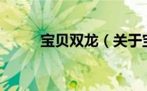 宝贝双龙（关于宝贝双龙的介绍）