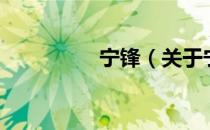 宁锋（关于宁锋的介绍）