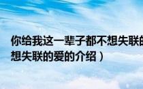 你给我这一辈子都不想失联的爱（关于你给我这一辈子都不想失联的爱的介绍）
