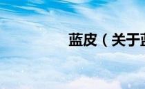 蓝皮（关于蓝皮的介绍）