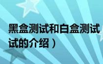 黑盒测试和白盒测试（关于黑盒测试和白盒测试的介绍）