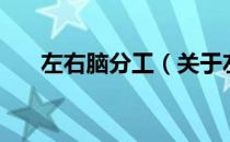 左右脑分工（关于左右脑分工的介绍）