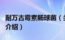 耐万古霉素肠球菌（关于耐万古霉素肠球菌的介绍）