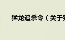 猛龙追杀令（关于猛龙追杀令的介绍）