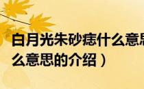 白月光朱砂痣什么意思（关于白月光朱砂痣什么意思的介绍）