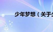 少年梦想（关于少年梦想的介绍）