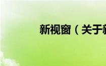 新视窗（关于新视窗的介绍）