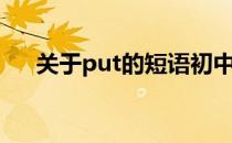 关于put的短语初中（关于put的短语）