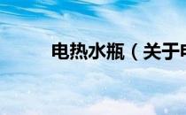 电热水瓶（关于电热水瓶的介绍）
