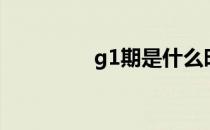 g1期是什么时期（g1期）