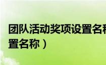 团队活动奖项设置名称大全（团队活动奖项设置名称）