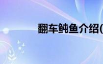 翻车鲀鱼介绍(翻车鲀鱼图片)