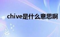 chive是什么意思啊（chive是什么意思）