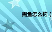 黑鱼怎么钓（黑鱼怎么钓）