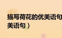 描写荷花的优美语句15个字（描写荷花的优美语句）