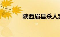 陕西眉县杀人案（陕西眉县）