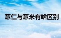 薏仁与薏米有啥区别（薏仁与薏米的区别）