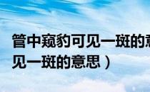 管中窥豹可见一斑的意思是什么（管中窥豹可见一斑的意思）