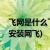 飞网是什么飞网如何安装飞网如何使用(怎么安装网飞)
