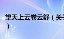 望天上云卷云舒（关于望天上云卷云舒的介绍）