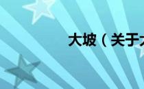 大坡（关于大坡的介绍）