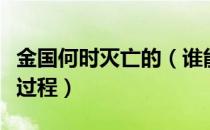 金国何时灭亡的（谁能详细介绍下金国灭亡全过程）