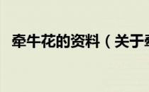 牵牛花的资料（关于牵牛花的资料的介绍）