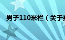 男子110米栏（关于男子110米栏的介绍）