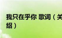 我只在乎你 歌词（关于我只在乎你 歌词的介绍）