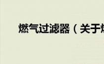 燃气过滤器（关于燃气过滤器的介绍）