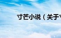 寸芒小说（关于寸芒小说的介绍）