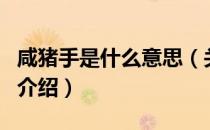 咸猪手是什么意思（关于咸猪手是什么意思的介绍）