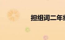 担组词二年级（担组词）
