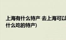 上海有什么特产 去上海可以吃到什么上海的美食(上海都有什么吃的特产)