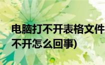 电脑打不开表格文件怎么办(电脑文件表格打不开怎么回事)