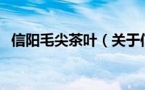 信阳毛尖茶叶（关于信阳毛尖茶叶的介绍）