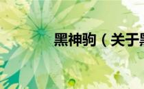 黑神驹（关于黑神驹的介绍）