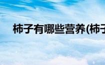 柿子有哪些营养(柿子有哪些营养和功效)