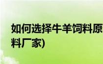 如何选择牛羊饲料原料(如何选择牛羊饲料原料厂家)